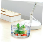 Glass Flowerpot Planter Decorative Bowl Round Vase for Hydroponic Plant Wedding - Image 7