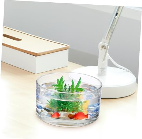 Glass Flowerpot Planter Decorative Bowl Round Vase for Hydroponic Plant Wedding - Image 7
