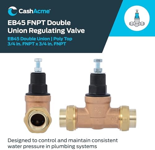 Cash Acme EB45 Pressure Regulating Valve, Double Union, 3/4 Inch NPT Female, Poly Top, 60 PSI, PVA16P-DUTH-60, Brass - Image 2