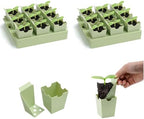 2 Pack Seed Starter Trays, Lift-Out Handles, Easy Transplanting by GreenBazzar