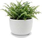 MyGift 7 Inch Round White Ceramic Plant Pot with Drainage Hole and Attached Saucer, Modern Decorative Embossed Sunburst Planter Container for Indoor Home Garden by MyGiftHome