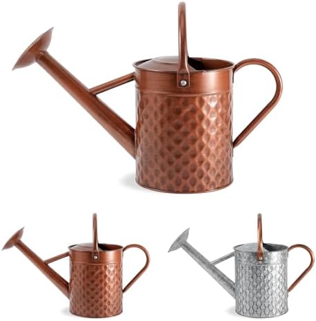 1 Gallon Metal Watering Can for Outdoor Indoor Plants, Copper Colored Watering Can with Removable Spray Spout, Ideal for Garden Watering by BLstyle