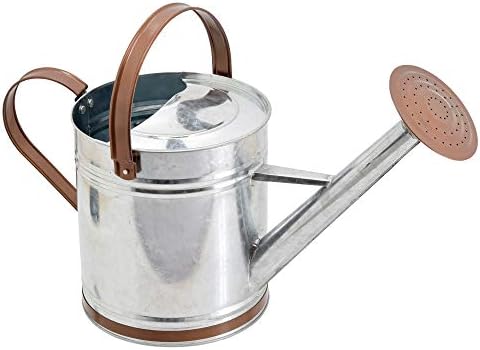 Arcadia Garden Products WC12 Classic Shiny Galvanized Metal Watering Can, Easy-Pour, Indoor and Outdoor, 1.3 gal by Unknown