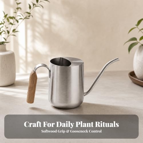 Stainless Steel Watering Can Practical Gooseneck Watering Can Large Capacity for Window Sills, Silver - Image 6
