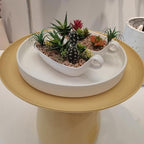 Ceramic Plant Saucer Pot Tray 14.5 Inch, Frosted White Planter Saucers 5 7 9 10 12 15 Inch for Indoors Outdoor, Flower Pot Saucers for Holding Water Drips and Soil - Image 5