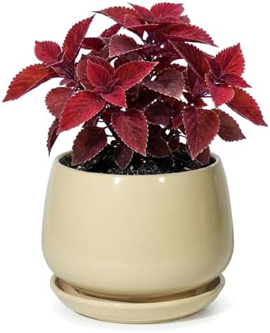 7.5 Inch Ceramic Planter with Saucer,Modern Garden Pots with Drainage Hole Mesh Net, for Indoor Outdoor Use(Pink Yellow) by Unknown