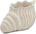 Nautilus Shell Planter, Beige - Image 5