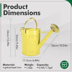 Gold Galvanized Iron Watering Can for Indoor Plants, DIY Watering Cans for House Plant Garden Flower, Long Spout Water Can for Outdoor Watering Plants 6.44L 1.7Gallon (Beige) - Image 2