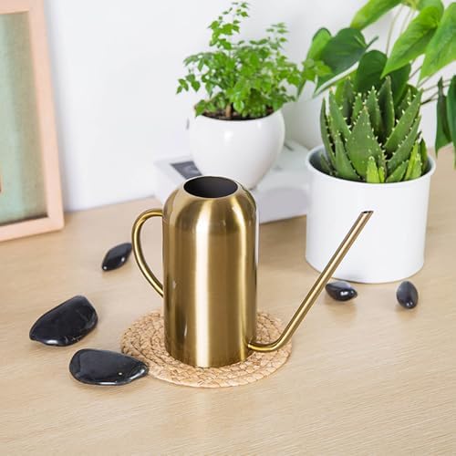 Plant Watering Can, Small 023 Gallon Leak Proof Water Can for Plants with Long Spout,Lightweight Stainless Steel Modern Indoor Watering Cans for House Plants for Gardening Home Flower Outdoor - Image 3