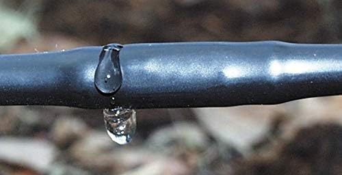 DripWorks 1/4" Soaker Dripline, Drip Irrigation Emitter Tubing, Low-Density Polyethylene (LDPE) (6" Spacing, 500 ft) by DripWorks