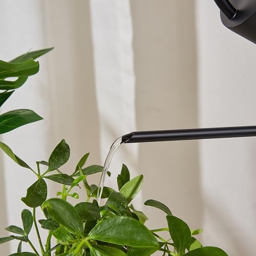 Plants Watering Can - 1500ml Large Capacity Stainless Steel Kettle for Indoor Outdoor Bonsai Plants and Garden - Long Spout Gardening Supplies (Black) - Image 5