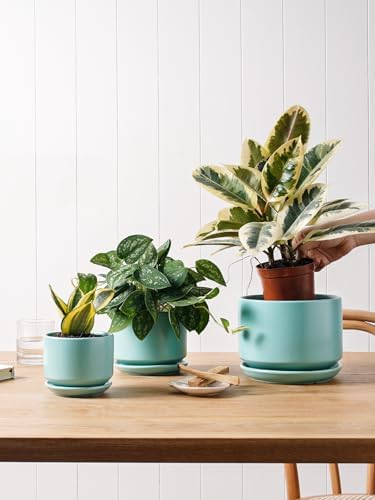 LE TAUCI Ceramic Pots for Plants, 4.3+5.3+6.8 Inch, Set of 3, Turquoise - Image 4
