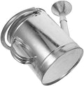 Metal Watering Can for Indoor Plants, 5l Capacity Iron Spray Kettle with Fixed Handle and Sprinkler Spout, Suitable for Small Plant Watering and Seedling Care Style by GLEAVI