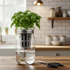 Teenyyou 12 Set Hydroponic Garden Mason Jar Kit Self Watering Herb Hydroponic Planter Starter Kit with Net Pot Garden Flower Plant Growing Gift for Indoor Herbs Windowsill Gardening - Image 5