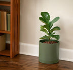 D'vine Dev Plastic Planter Pot with Saucer, 10 in, Olive, 74-X-I-2 - Image 7