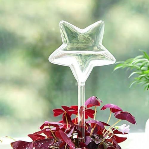 Tofficu 3pcs Star Shaped Glass Watering Bulbs for Indoor Plants Automatic - Image 5