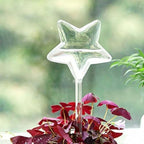 Tofficu 3pcs Star Shaped Glass Watering Bulbs for Indoor Plants Automatic - Image 5
