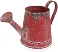 Cute Small Watering Can Indoor Plants Garden Metal Decorative Watering Cans for Outdoor Plants Bonsai Outdoor Garden Flower Decorative (Red, 1.5L, 50.7 Oz) by Z%C2%B2BellaDecor