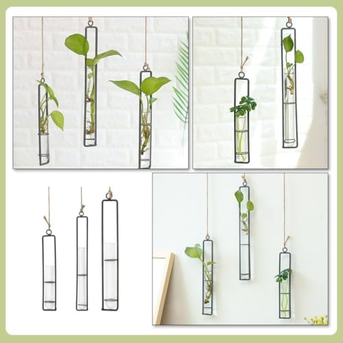 Wall Hanging Planter Xmas Glass Tube Planter with Iron Frame 3pcs - Image 3