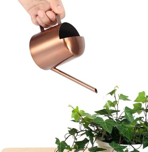 Watering Can 300ml Stainless Steel Long Spout Indoor by TOPINCN