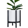 D'vine Dev Plastic Pot with Ebony Wood Stand, White, 12 in, 55-C-Q-1 by DvineDevPlanterPotsandStand