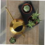 TOYANDONA 1000ml Stainless Steel Watering Can Long Spout Ball Shape for Indoor Outdoor Plants Succulent Gardening Tool Golden - Image 6