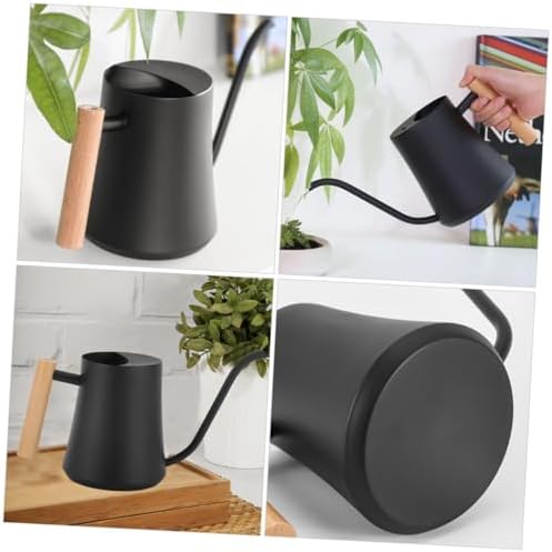 VICASKY Vintage Metal Long Spout Watering Can with Wooden Handle for Indoor Plants Stainless Steel Garden Pot for Precise Watering Design for Flowers and Houseplants - Image 6