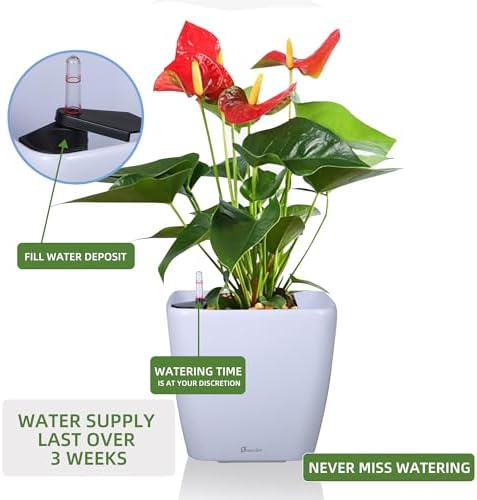 Dexceder 11x10 Self Watering Planter (White High Gloss) - Image 5