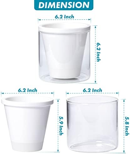 D'vine Dev Self-Watering White Terracotta Planter, 6 in, 2-Pack, 37-Y-B-2 - Image 3