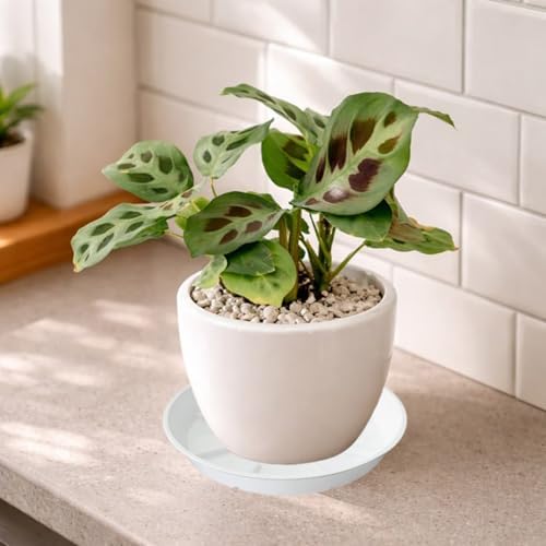 4 Pack of 14 inch Plant Saucer Plant Tray, Plastic Plant Saucer, Plant Tray for Pots, Plant Saucers for Indoors Planter, Garden Water Plate Bowls for Gallon Grow Bags (White) - Image 6