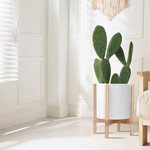 D'vine Dev Plastic Pot with Natural Wood Stand, White, 12 in, 55-C-P-1 - Image 4