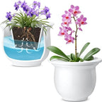 Suclain 2 Pack Ceramic Self Watering Plant Pot African Violet Pots Self Watering Indoor Flower Pot Efficiently Store Water for at Least One Week Modern Decor Gift(White,6.5 Inch) by Suclain