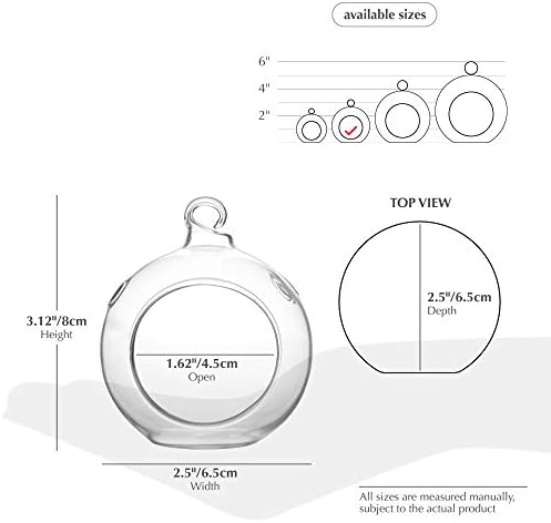 WGV Hanging Terrarium Globe, Width 2.5", Height 3", DIY Air Succulent Planter, Clear Glass Vase Orb with Flat Bottom, Candle Holder for Windowsill Outdoor Garden Decor, 6 Pieces Bulk - Image 2