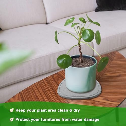 6 8 10 Inch 6 Pack Diatomite Plant Saucers for Indoors, Plant Drip Tray - Image 5