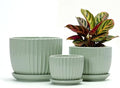 Flower Pots,Ceramic Plant Pots with Drainage Holes Set of 3（Light Green） by TonSin