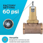 Cash Acme EB45 Pressure Regulating Valve, 2 Inch NPT Threaded, Metal Top, 60 PSI, PVA54M-DTH-60 - Image 3