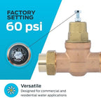 Cash Acme EB45 Pressure Regulating Valve, Single Union, 1 Inch NPT Female x NPT Female, Metal Top, 60 PSI, PVA20M-SUTH-60 - Image 3