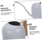 Happyyami 2pcs Watering Can Indoor Plants Succulent Plants Small Plant Misters Pot Watering Flower Kettle House Plants Outdoor Plants Metal Household Watering Pot White Stainless Steel - Image 6