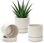 Phoenix Vine 6 Inch Planter Pot with Drainage Hole & Saucer, Deep Water Catch Tray, Straight Cylindrical Round Pot for Plants, Oatmeal, Pack of 3, 23-E-S-3 by Phoenix+Vine