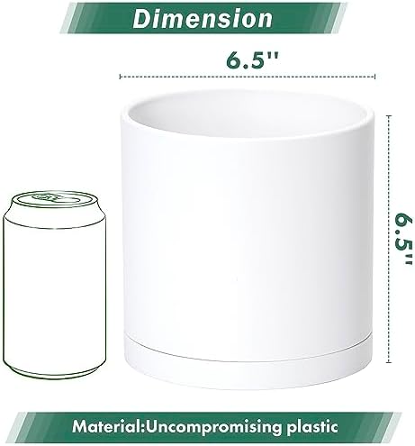 D'vine Dev 2-Pack White Plastic Planters with Saucers, 6.5 in, 74-Z-L-1 - Image 2