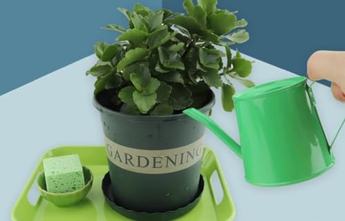 Montessori Plant Watering Work Set, Care for Plants, Cultivate Life Skills - Image 6