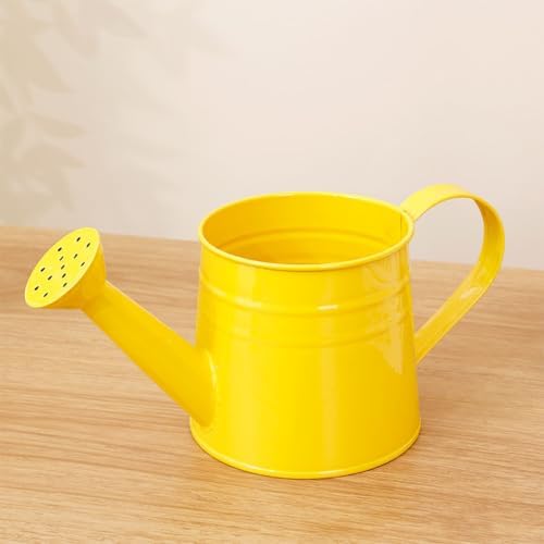 1L Retro Metal Painted Watering Can with Long Spout & Handle - Image 5