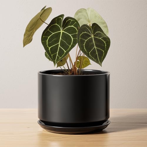 LE TAUCI 6.8 Inch Ceramic Pots for Plants, Indoor Plant Pot, Black by LETAUCI