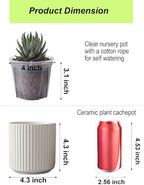 Small Ceramic self Watering Pot for Succulents, 4 inch, White,2pack - Image 2