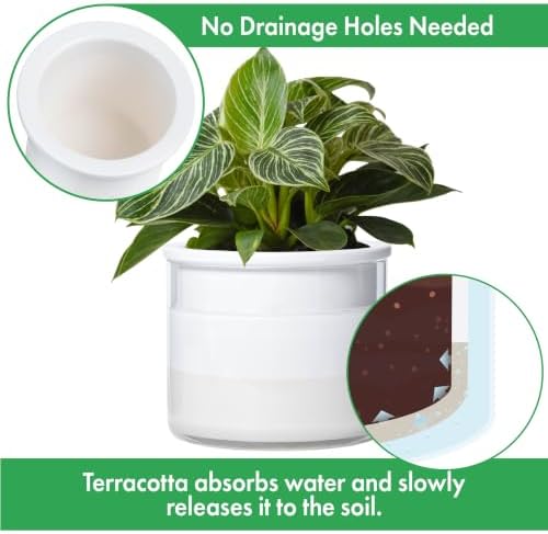 Phoenix Vine 6 Inch Self Watering Planter, Design White Terracotta Pot for Plants, Indoor Cylinder Terra Cotta Pot with Glass Vase, Set of 1, 51-B-F-1 - Image 4