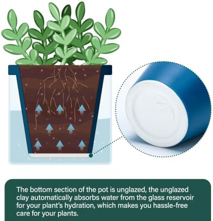 D'vine Dev Self-Watering Blue Terracotta Planter, 4 in, 4-Pack, 37-Z-A-4-F - Image 5