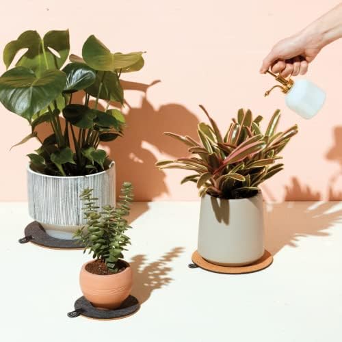 Modern Sprout Plant Mister - 8 oz Indoor Watering Can & Sprayer - White - Image 6