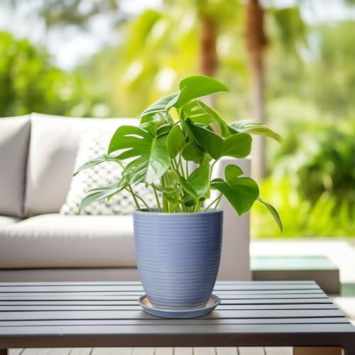 EEPFamily 8 Inch Plant Pot- Ceramic Planter for Indoor Outdoor with Drainage Hole and Plant Tray, Modern Round Porch Home Office Garden Living Room Decor, House Warming Gifts, Blue-Purple - Image 6