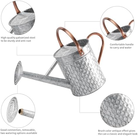1 Gallon Metal Watering Can for Outdoor Indoor Plants, Galvanized Watering Can with Removable Spray Spout, Ideal for Garden Watering - Image 2