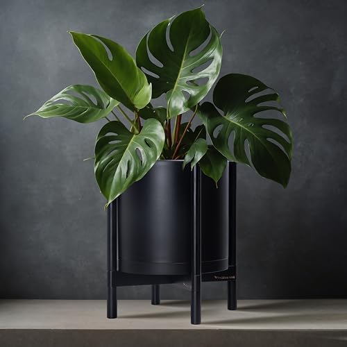 D'vine Dev Plastic Pot with Ebony Wood Stand, Black, 12 in, 55-C-Q-2 - Image 2